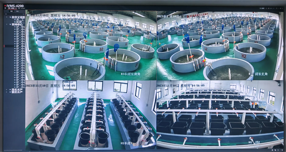 京东科技首次打通水产品全链路数字化,助力广东恒兴打造现代化海洋